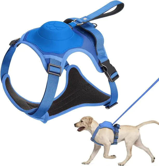 BreezeWalk Leash and Harness