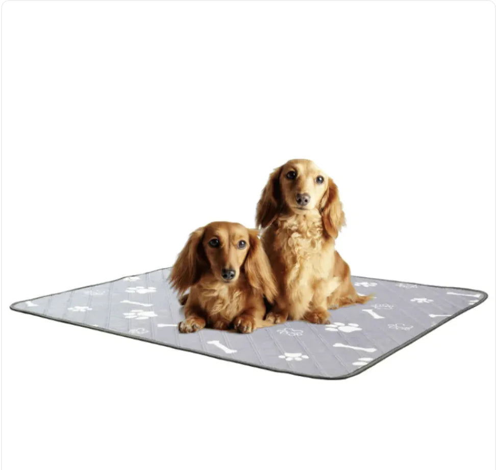 Non-Slip Pet Absorbent Pad