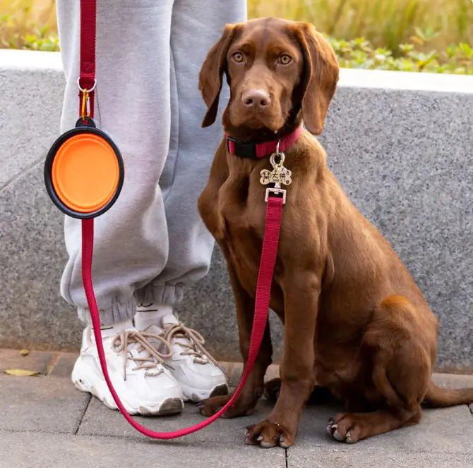 Portable Feeding Bowl