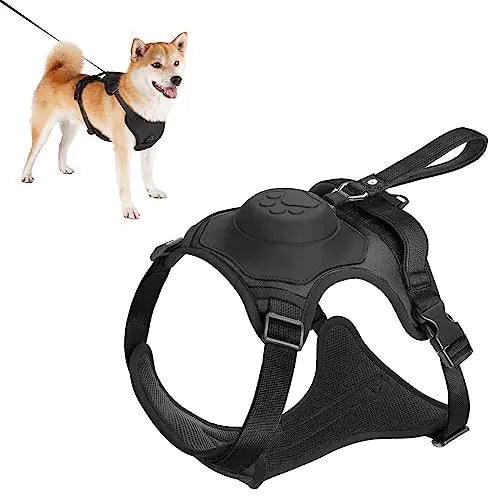 BreezeWalk Leash and Harness