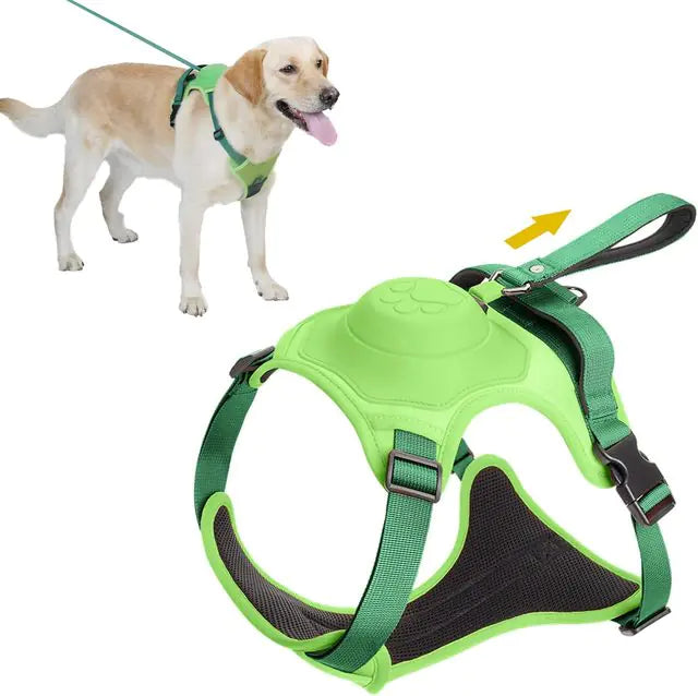 BreezeWalk Leash and Harness