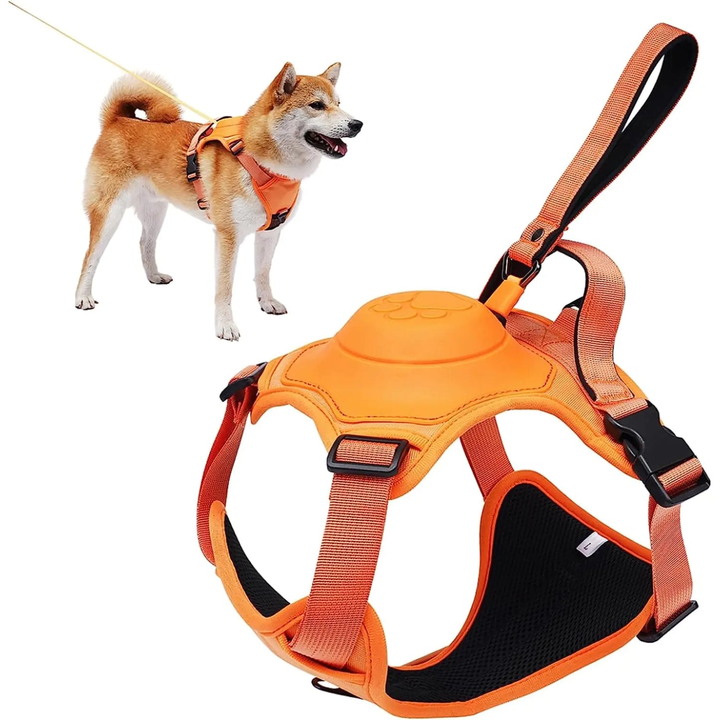 BreezeWalk Leash and Harness