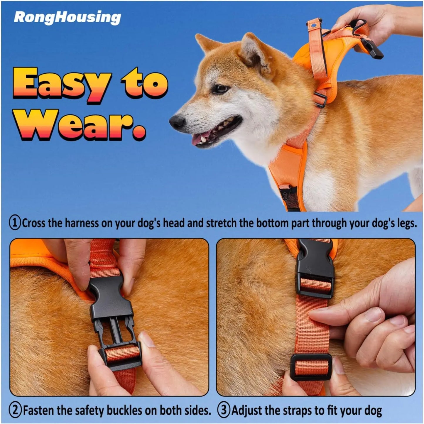 BreezeWalk Leash and Harness