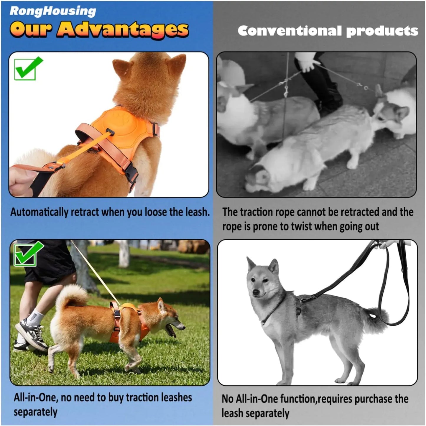 BreezeWalk Leash and Harness