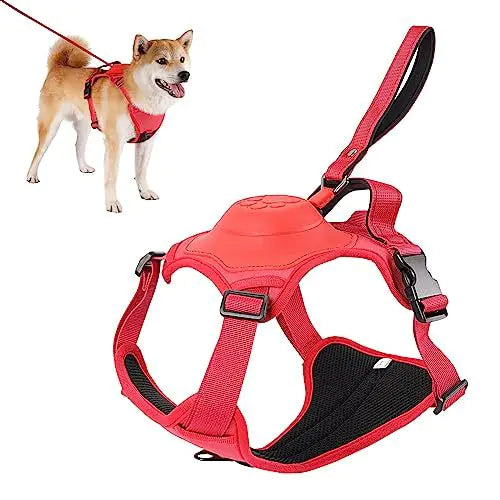 BreezeWalk Leash and Harness