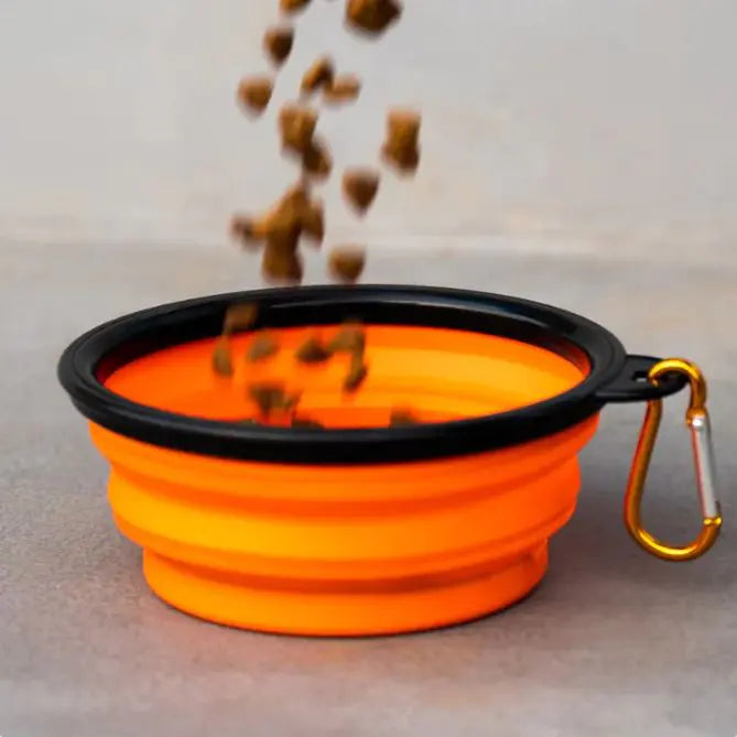 Portable Feeding Bowl