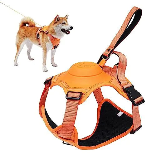 BreezeWalk Leash and Harness